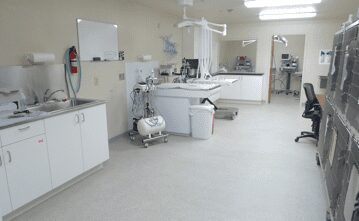 A view of the vet clinic interior